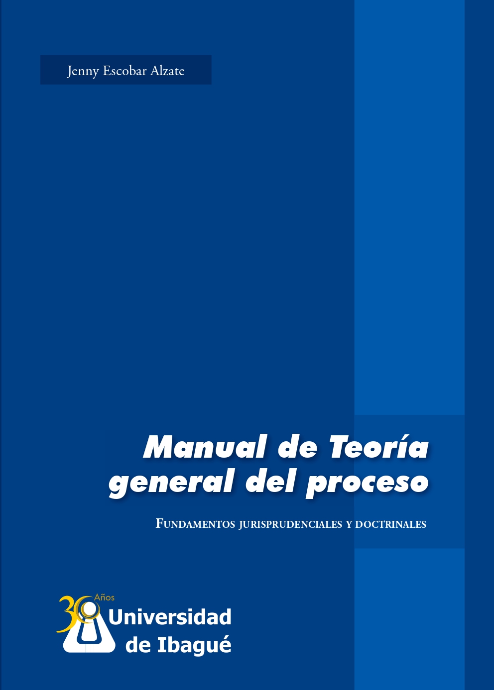 Cover of Manual de Teoría general del proceso